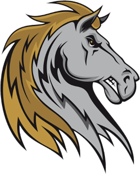 Saugerties Stallions